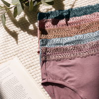 Kindred Bravely High-Waisted Postpartum Underwear Pack | Dusty Hues