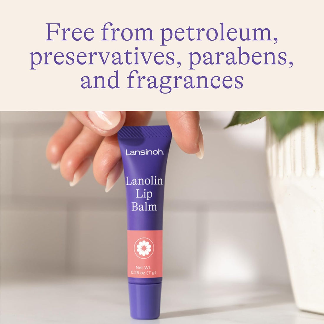Lanolin Lip Balm (4 pack)