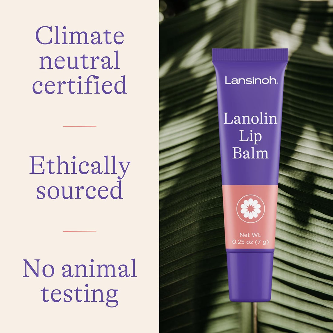 Lanolin Lip Balm (4 pack)