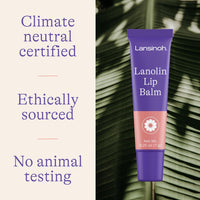 Lanolin Lip Balm (4 pack)