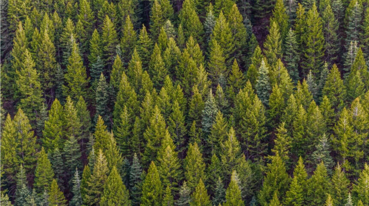 What is the Science Based Targets Initiative?