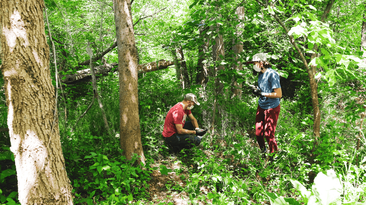 Restoration Workday with the Anacostia Watershed Society and One Tree Planted