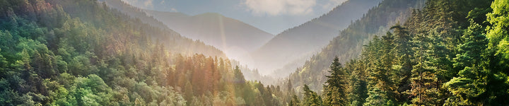 Lansinoh adds its flagship HPA® Lanolin nipple cream to its collection of certified climate neutral products