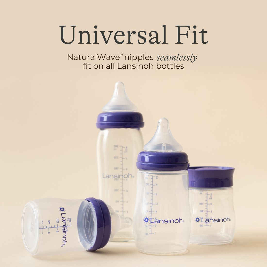 Glass Feeding Bottles 8oz (4 pack)