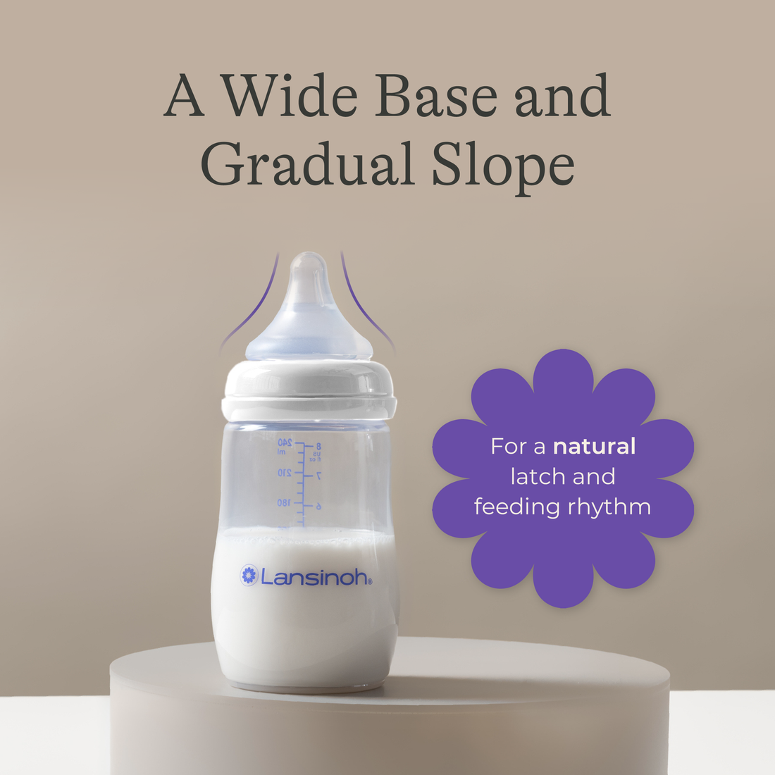Baby Bottles 8oz