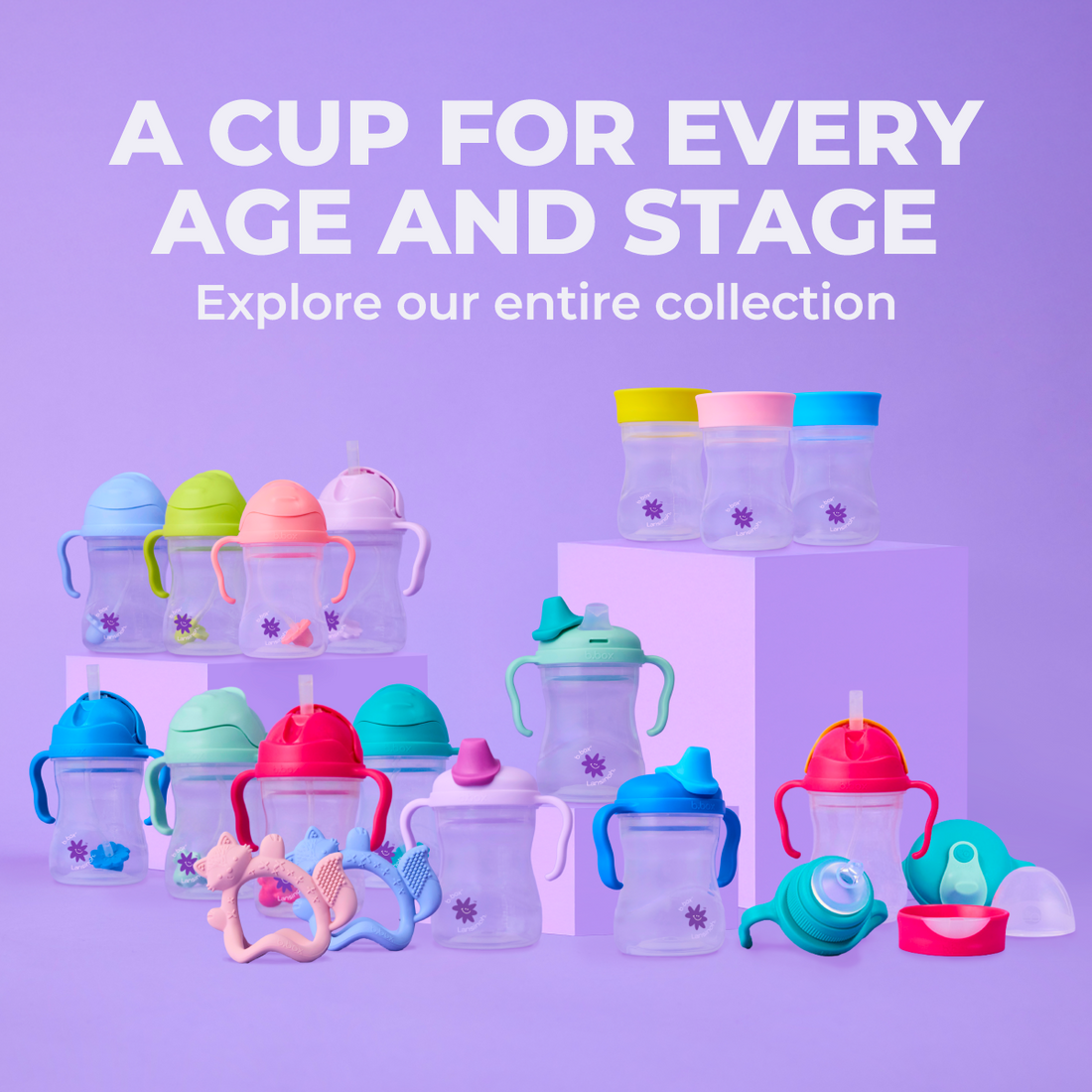 b.box + Lansinoh Sippy Cup twin pack