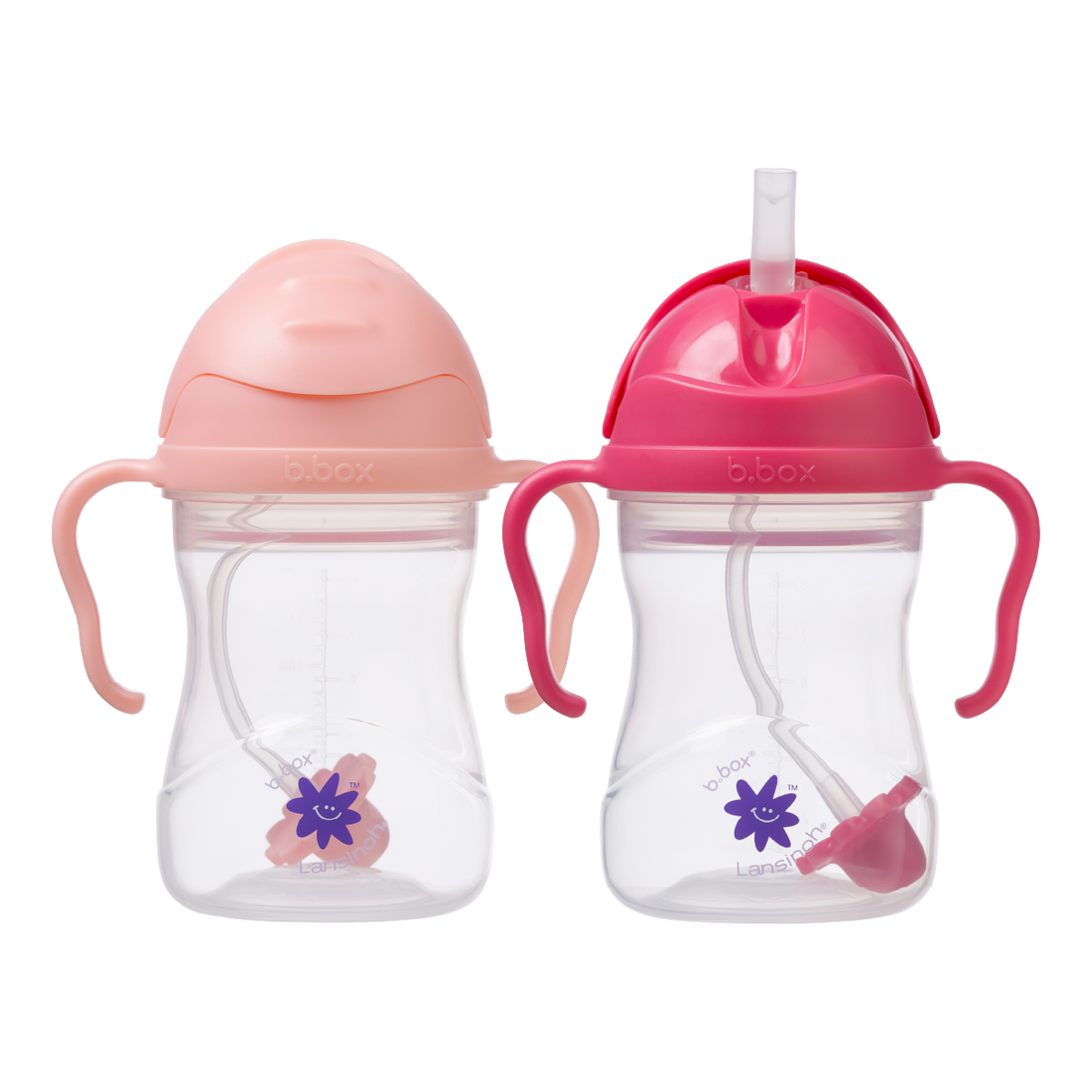 b.box + Lansinoh Sippy Cup twin pack