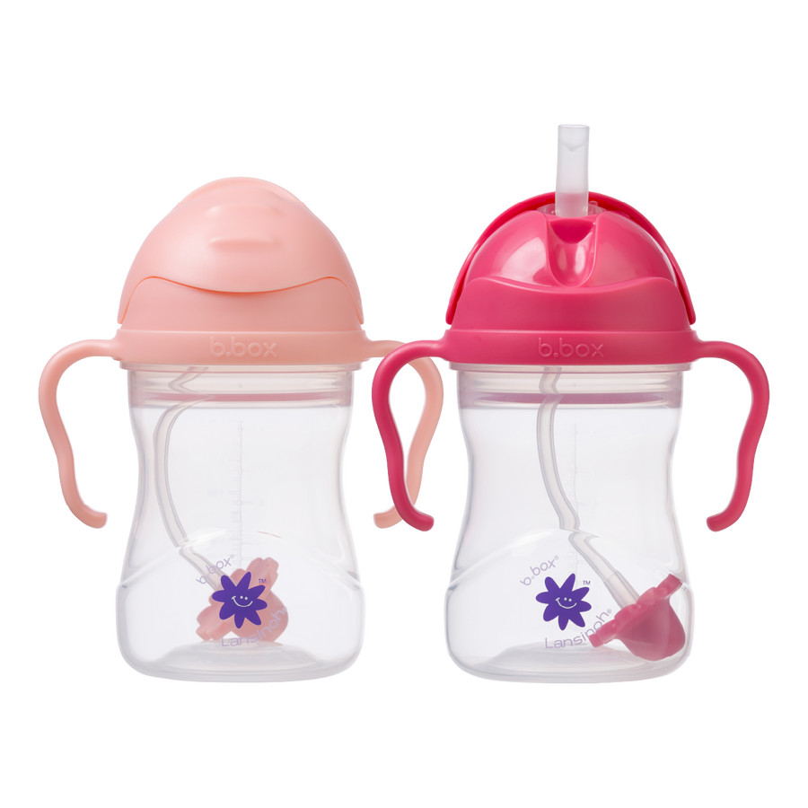 b.box + Lansinoh Sippy Cup twin pack