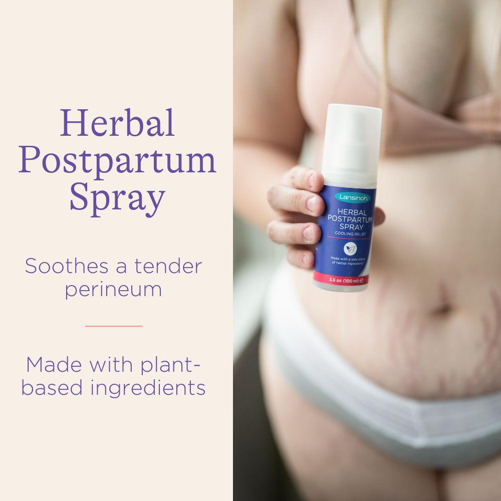 Lansinoh Postpartum Essentials Recovery Bundle Postpartum Care Kit